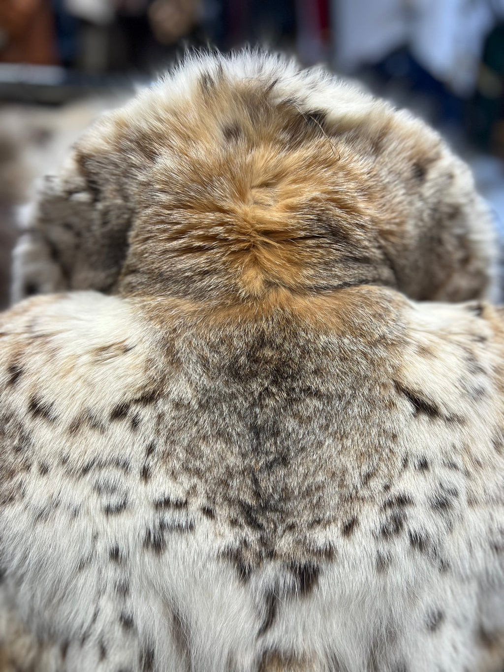 Giacca in Pelliccia di Lince Vintage - Taglia 44 - Eccellenti Condizioni