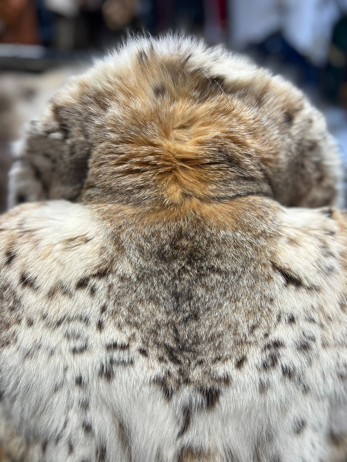 Giacca in Pelliccia di Lince Vintage - Taglia 44 - Eccellenti Condizioni